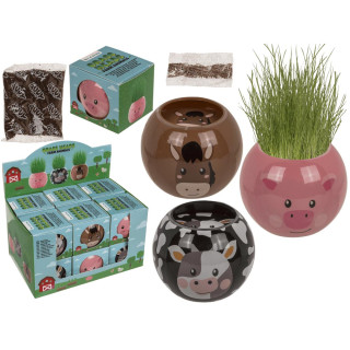 Kasvua - Maatilan eläin