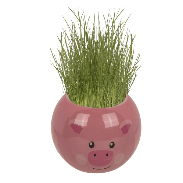 Kasvua - Maatilan eläin