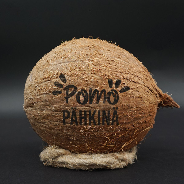 Kaiverrettu kookospähkinä "Pomo pähkinä"