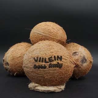 Kaiverrettu kookospähkinä "Viilein boss lady"