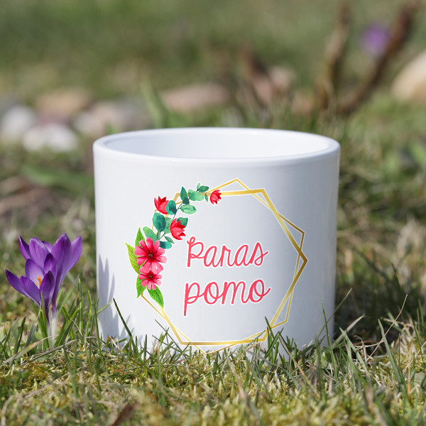 Keraaminen ruukku "Paras pomo"