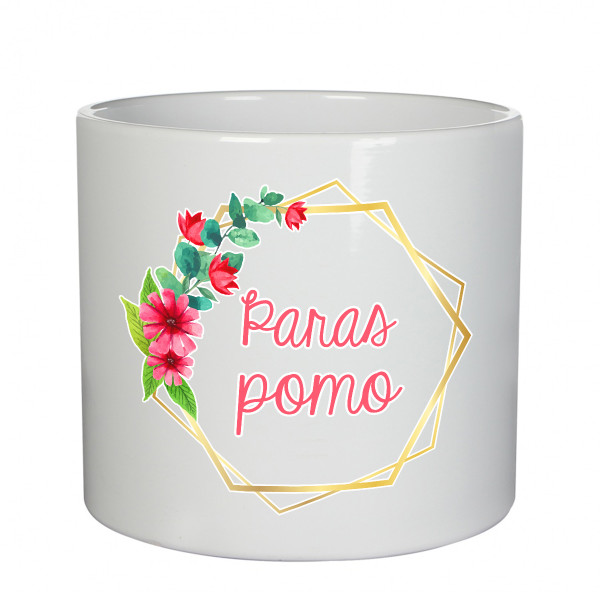 Keraaminen ruukku "Paras pomo"